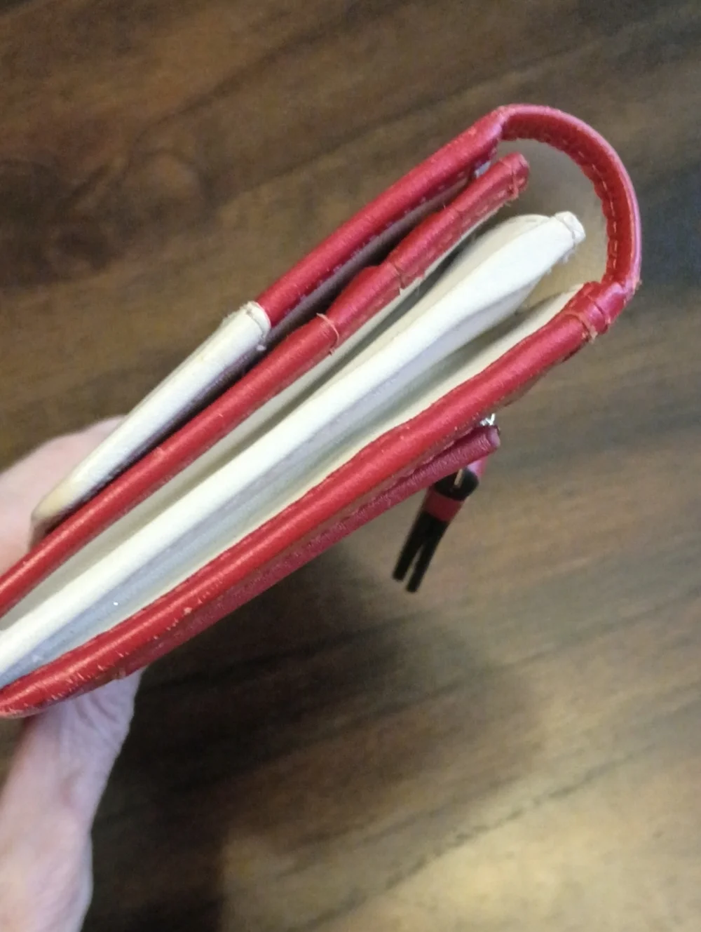 Radley London winter Christmas snow skating dog wallet